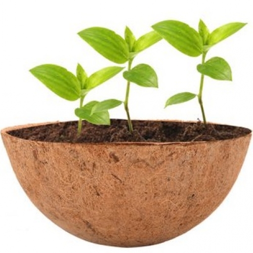 coconut coir garden products